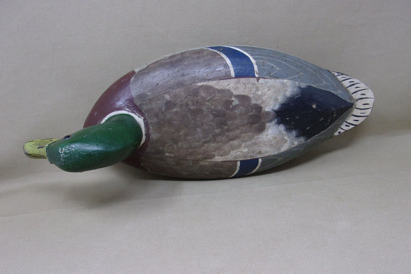 Walter "Tube" Dawson Mallard Drake , Circa 1920's (#4015)