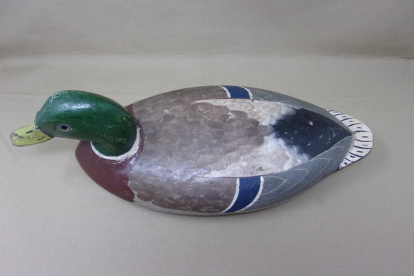 Walter "Tube" Dawson Mallard Drake , Circa 1920's (#4015)