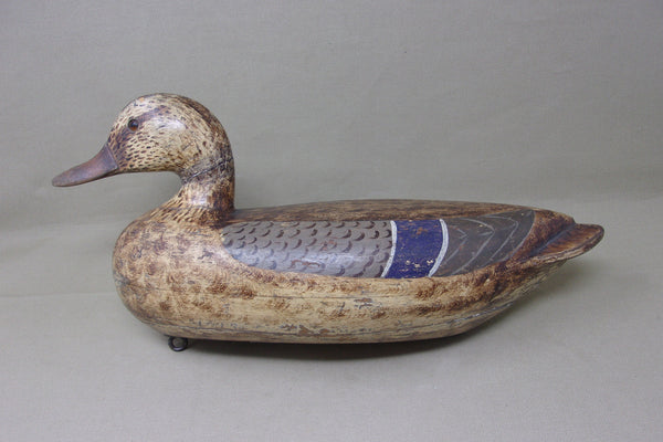 Ignatius Stachowiak Mallard Hen, Circa 1930's, Peru, Ill  (#4017)