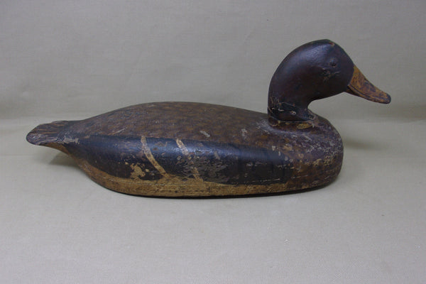 Illinois River Mallard Hen Elliston Head (#4023)