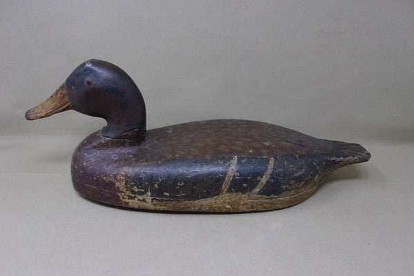 Illinois River Mallard Hen Elliston Head (#4023)