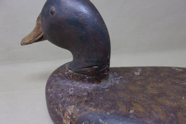 Illinois River Mallard Hen Elliston Head (#4023)