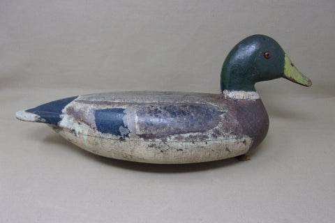 Illinois River Mallard Drake, Circa 1920's (#4026)