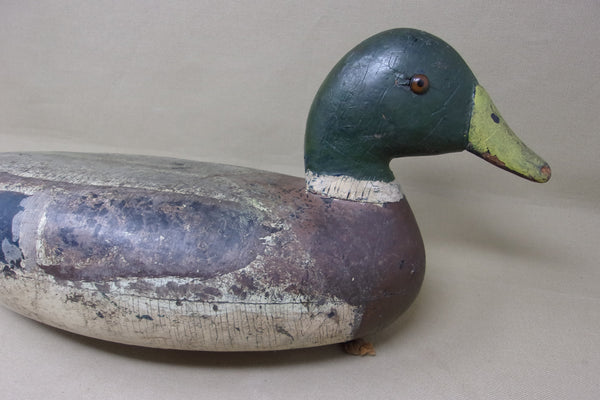 Illinois River Mallard Drake, Circa 1920's (#4026)