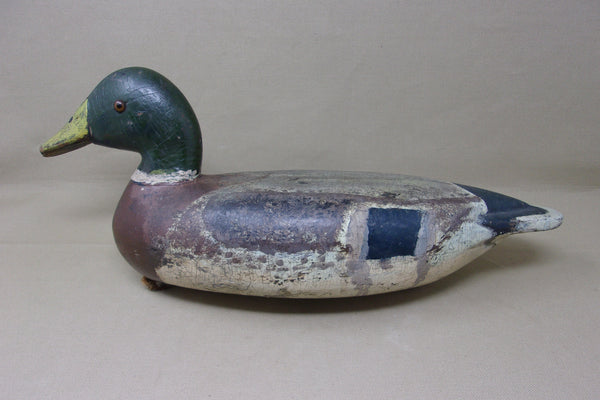 Illinois River Mallard Drake, Circa 1920's (#4026)