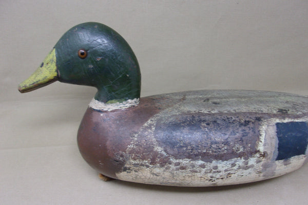 Illinois River Mallard Drake, Circa 1920's (#4026)