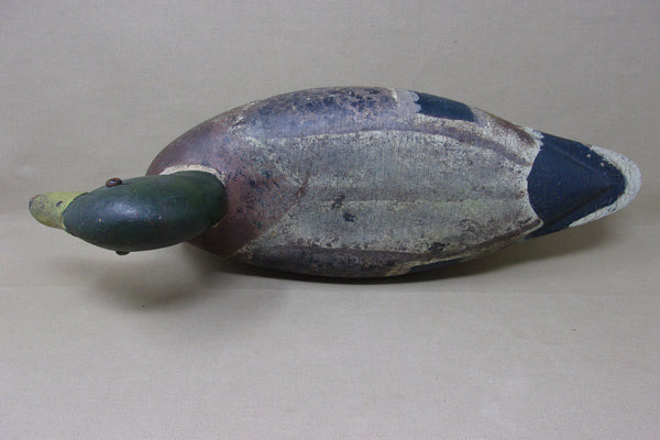 Illinois River Mallard Drake, Circa 1920's (#4026)