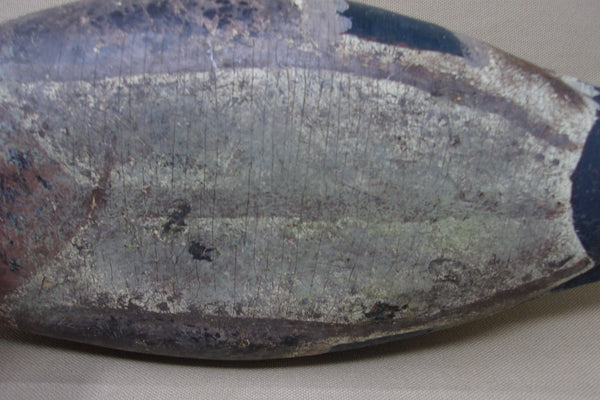 Illinois River Mallard Drake, Circa 1920's (#4026)