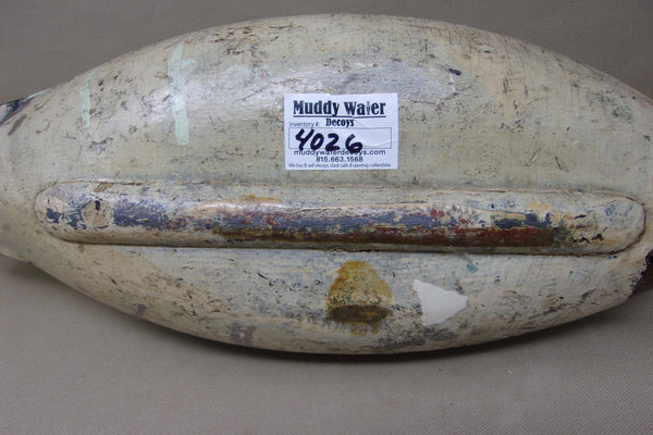 Illinois River Mallard Drake, Circa 1920's (#4026)