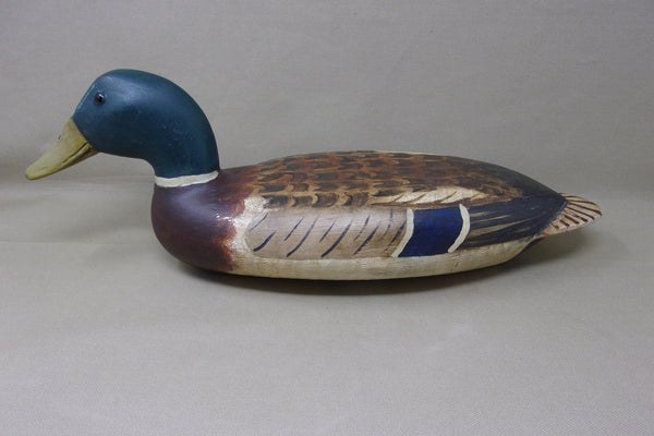 Elliston Mallard Drake, Circa early 1900's  (#4035)