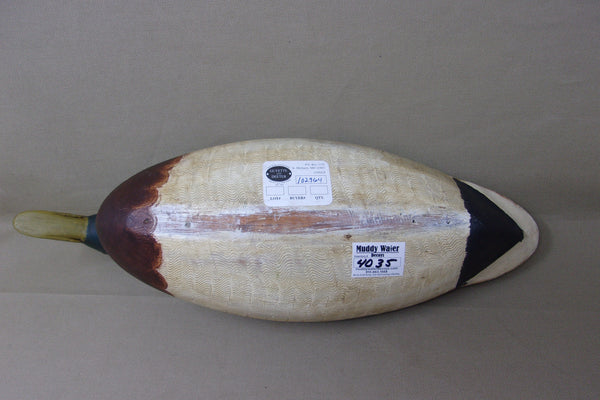 Elliston Mallard Drake, Circa early 1900's  (#4035)