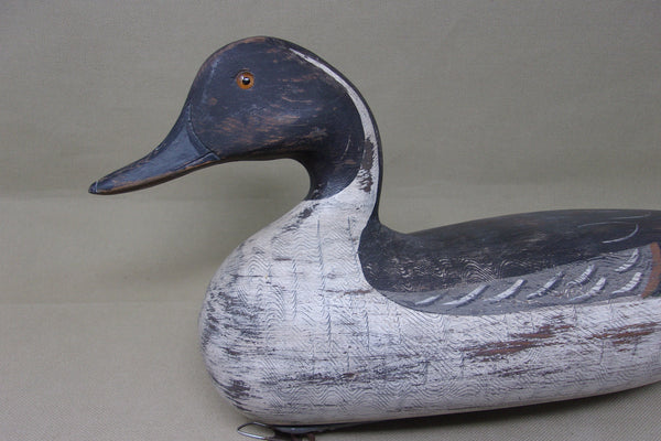 Perdew Style Pintail Drake, Charles Moore  (#4038)
