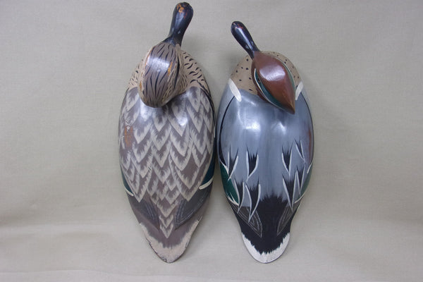 Paul Arness Green Wing Teal, California (#4039)