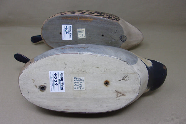 Paul Arness Green Wing Teal, California (#4039)