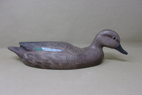 Swimming Hen Blue Wing Teal  (#4049)