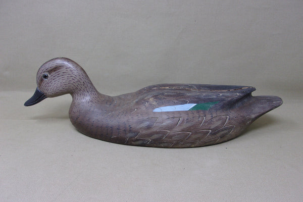 Swimming Hen Blue Wing Teal  (#4049)