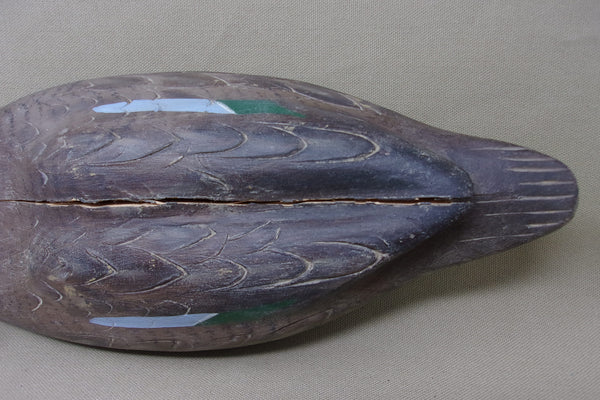 Swimming Hen Blue Wing Teal  (#4049)