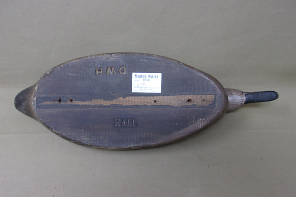 Swimming Hen Blue Wing Teal  (#4049)