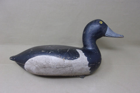 Elliston Blue Bill, Circa 1895  (#4051)