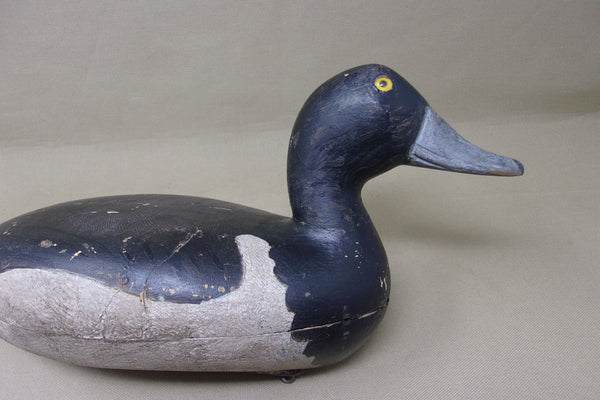 Elliston Blue Bill, Circa 1895  (#4051)