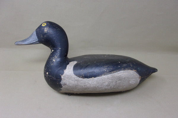 Elliston Blue Bill, Circa 1895  (#4051)