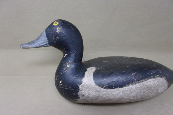 Elliston Blue Bill, Circa 1895  (#4051)