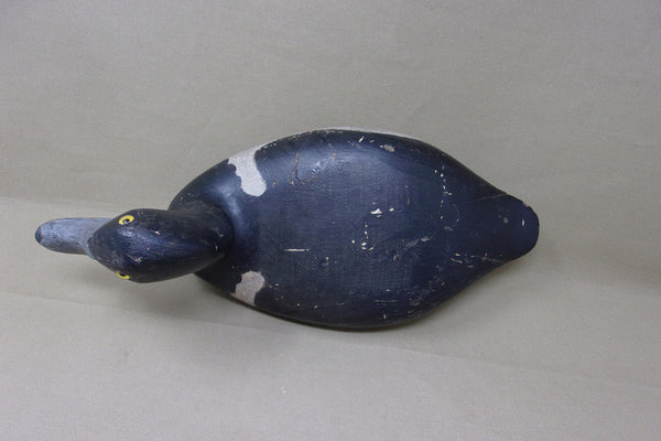 Elliston Blue Bill, Circa 1895  (#4051)