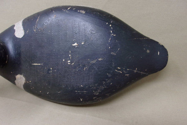 Elliston Blue Bill, Circa 1895  (#4051)