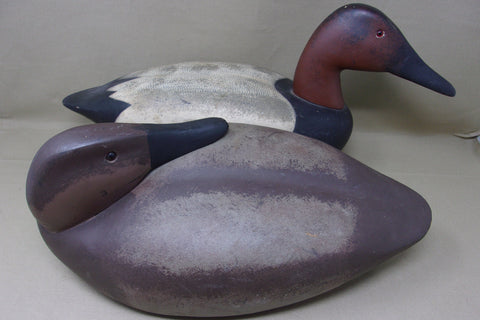 Decoys Unlimited Canvasback Pair (#4059)