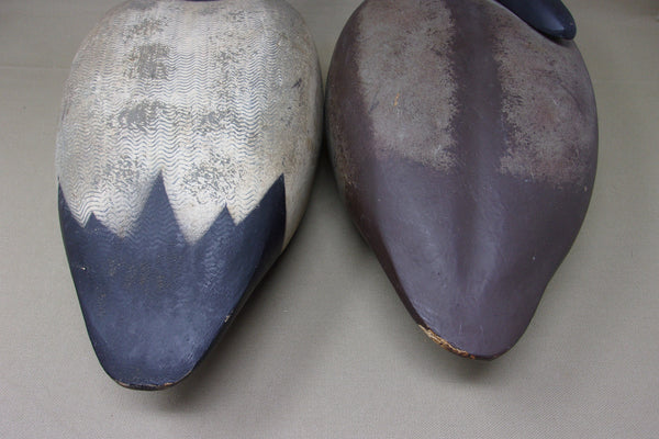 Decoys Unlimited Canvasback Pair (#4059)