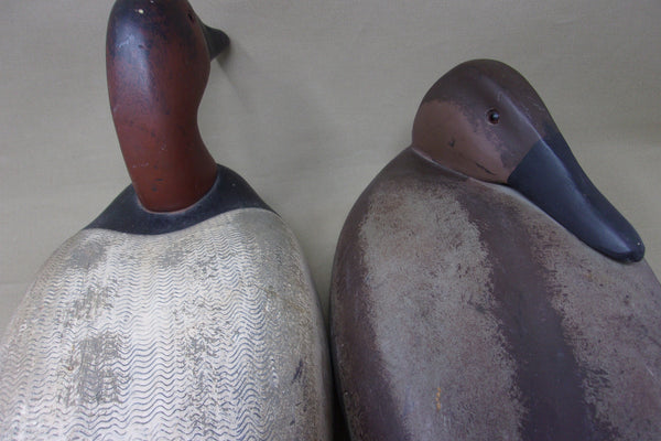 Decoys Unlimited Canvasback Pair (#4059)