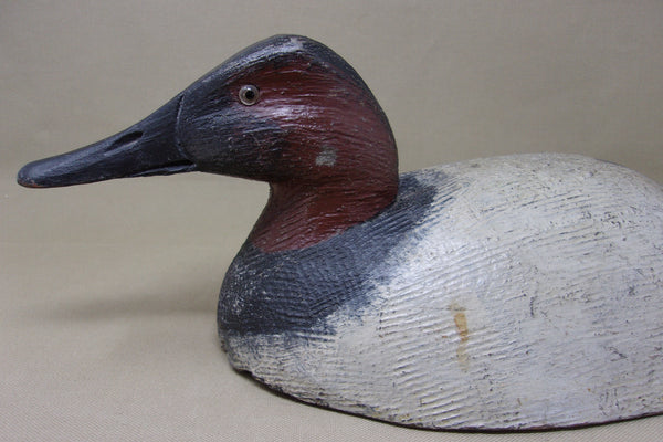 Michigan Canvasback Rough Feather Finish (#4060)