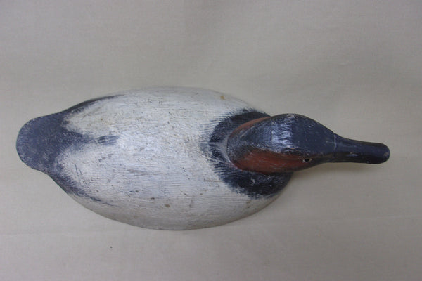Michigan Canvasback Rough Feather Finish (#4060)