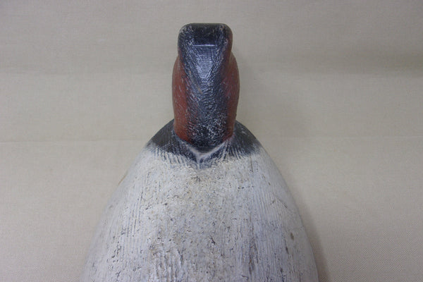 Michigan Canvasback Rough Feather Finish (#4060)
