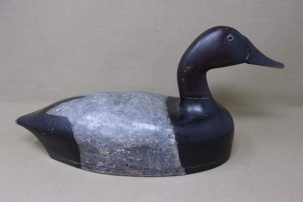 St. Claire Flats Canvasback Drake (#4064)