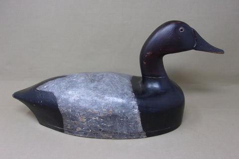 St. Claire Flats Canvasback Drake (#4064)