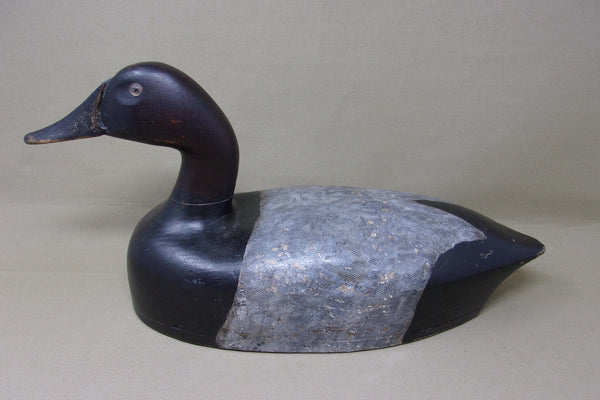 St. Claire Flats Canvasback Drake (#4064)