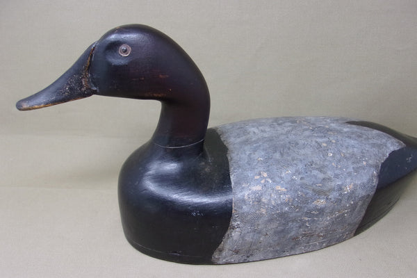 St. Claire Flats Canvasback Drake (#4064)