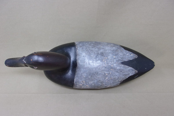 St. Claire Flats Canvasback Drake (#4064)