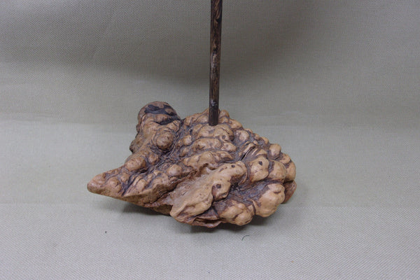 Charles Moore Shorebird (#4078)