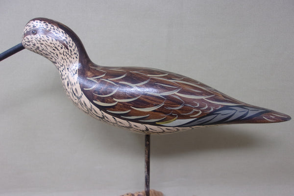 Charles Moore Shorebird (#4078)