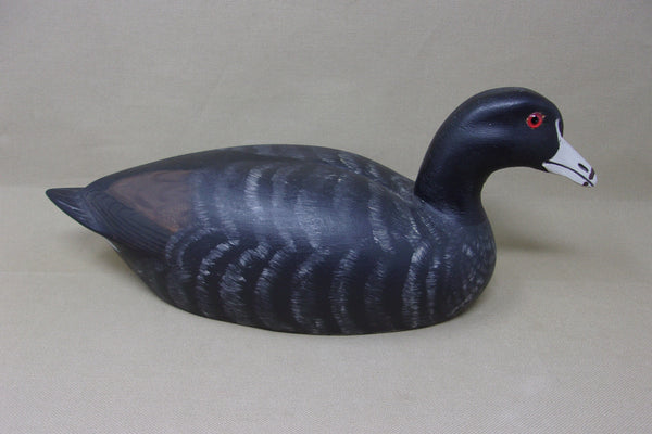 Heck Whittington Coot- All Original, stamped/dated  (#4079)
