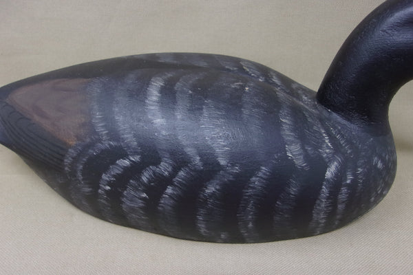 Heck Whittington Coot- All Original, stamped/dated  (#4079)