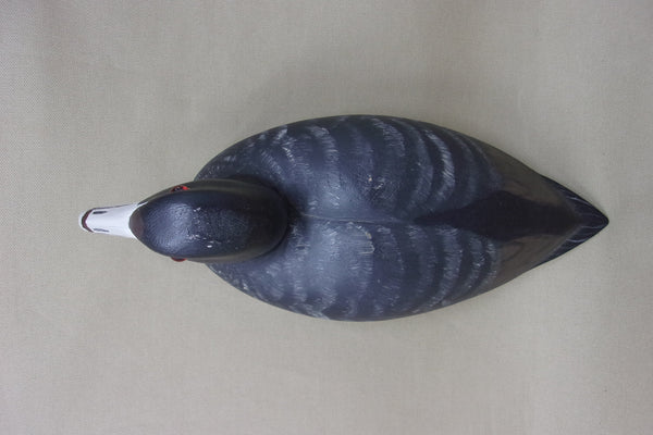 Heck Whittington Coot- All Original, stamped/dated  (#4079)