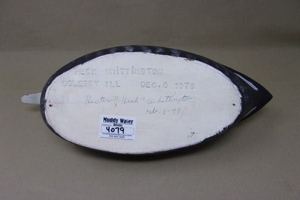 Heck Whittington Coot- All Original, stamped/dated  (#4079)