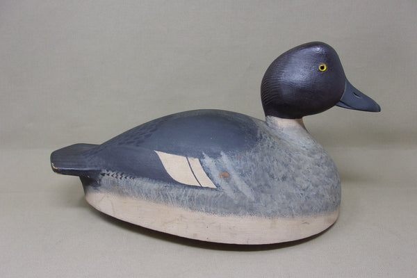 Upstate New York, Golden Eye with very Unique Underside (#4088)