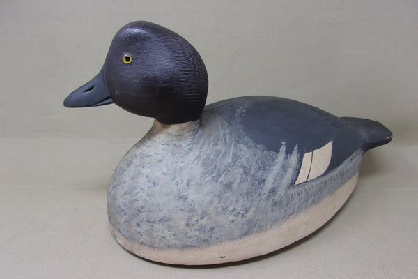 Upstate New York, Golden Eye with very Unique Underside (#4088)