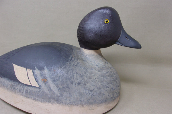 Upstate New York, Golden Eye with very Unique Underside (#4088)