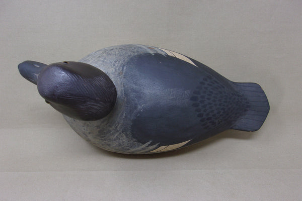 Upstate New York, Golden Eye with very Unique Underside (#4088)