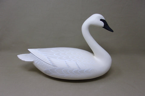 Frederick Brown 1/3 size Trumpeter Swan  (#4104)